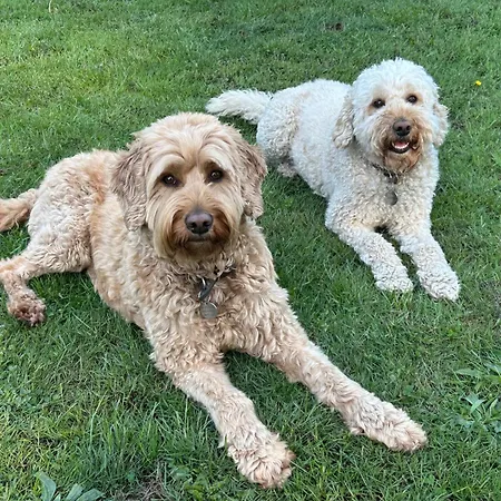 Bed & Breakfast Kamersven 4*