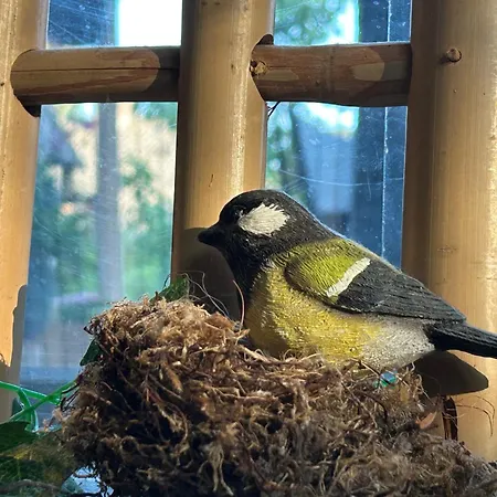 Bed & Breakfast Kamersven