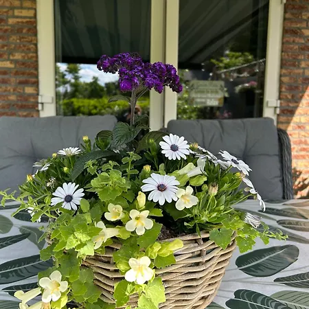 Kamersven Bed & Breakfast Maarheeze
