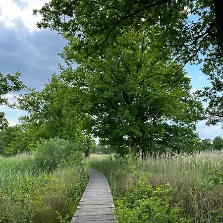 Kamersven 4* Maarheeze