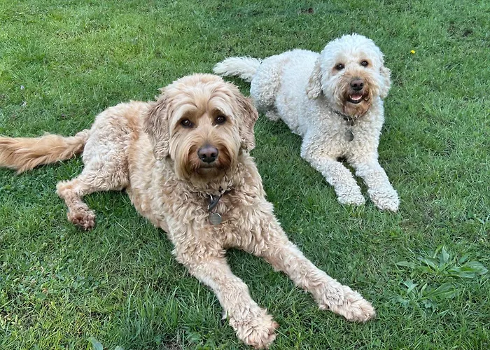 Bed and Breakfast Kamersven 4*