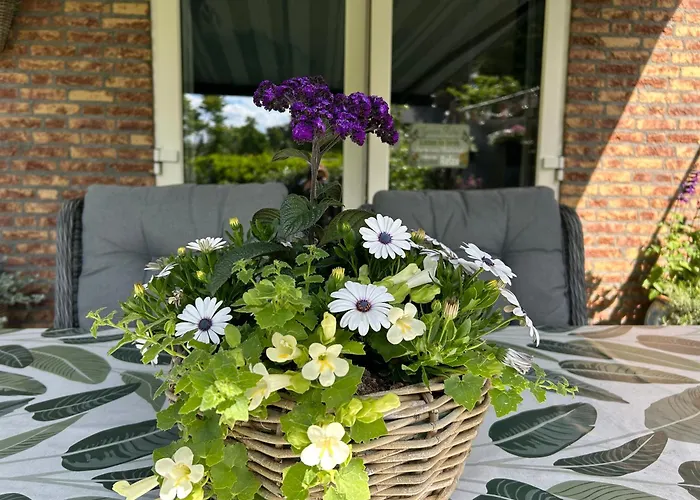 Kamersven Bed and Breakfast Maarheeze