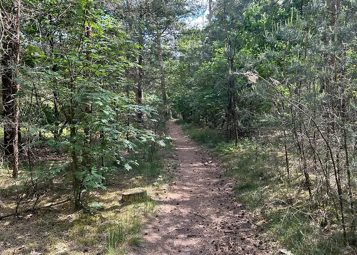 Kamersven Bed and Breakfast 4*