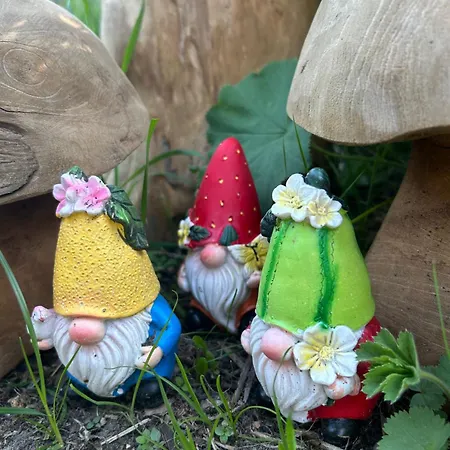 Kamersven Bed and breakfast 4*