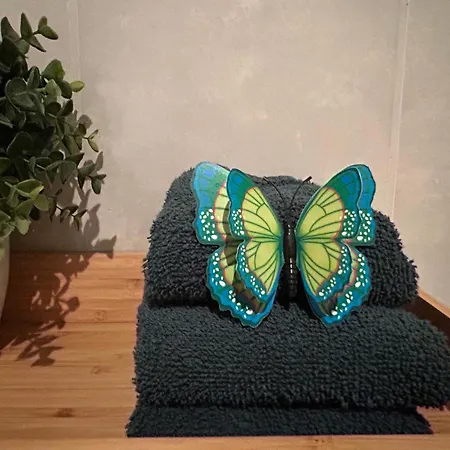 Kamersven 4* Maarheeze