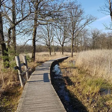 Bed and breakfast Kamersven 4*