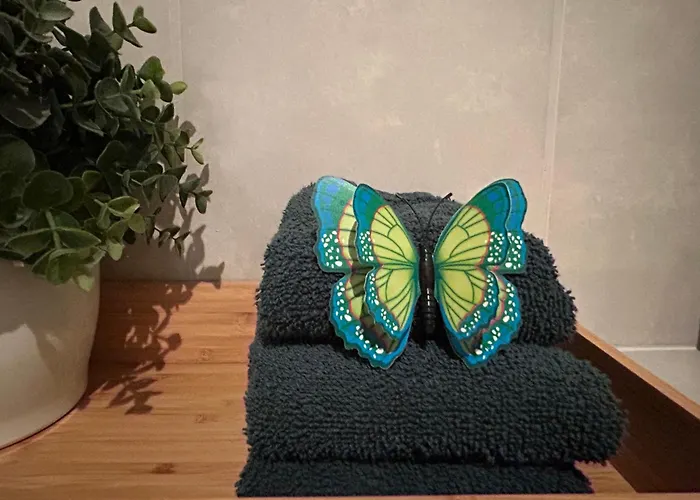 Kamersven 4* Maarheeze