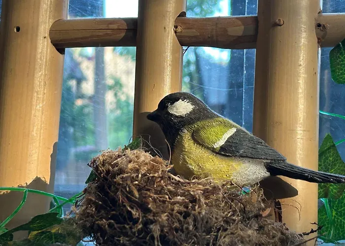 Bed & Breakfast Kamersven