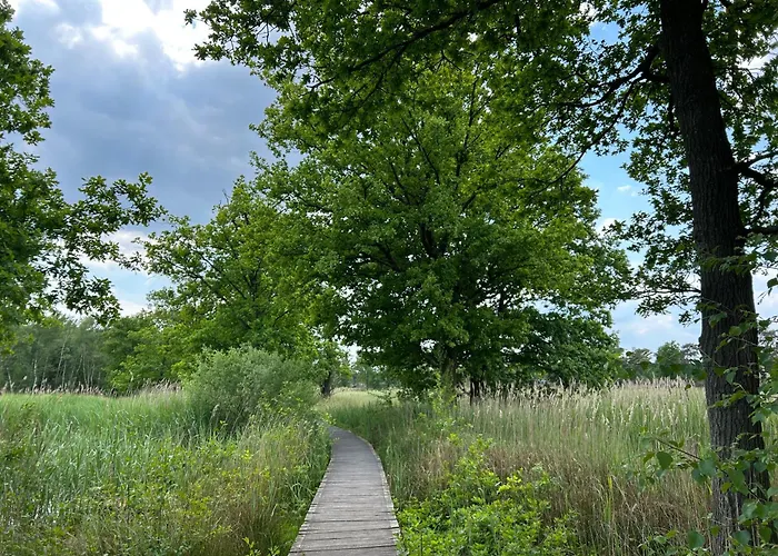 Kamersven 4* Maarheeze