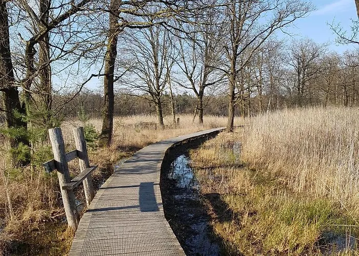 Bed & Breakfast Kamersven 4*